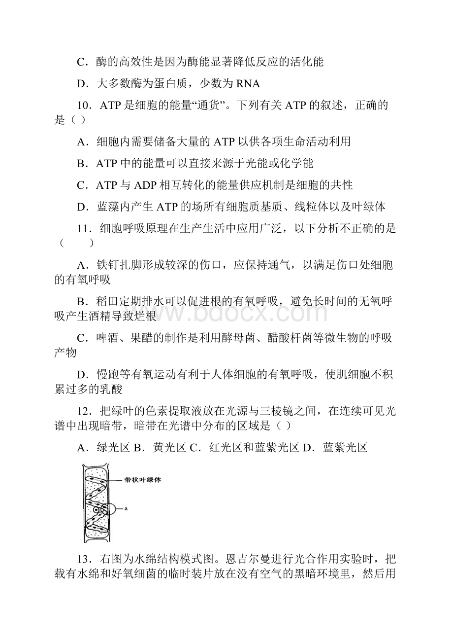 北京市海淀区学年高二生物上册期末试题.docx_第3页