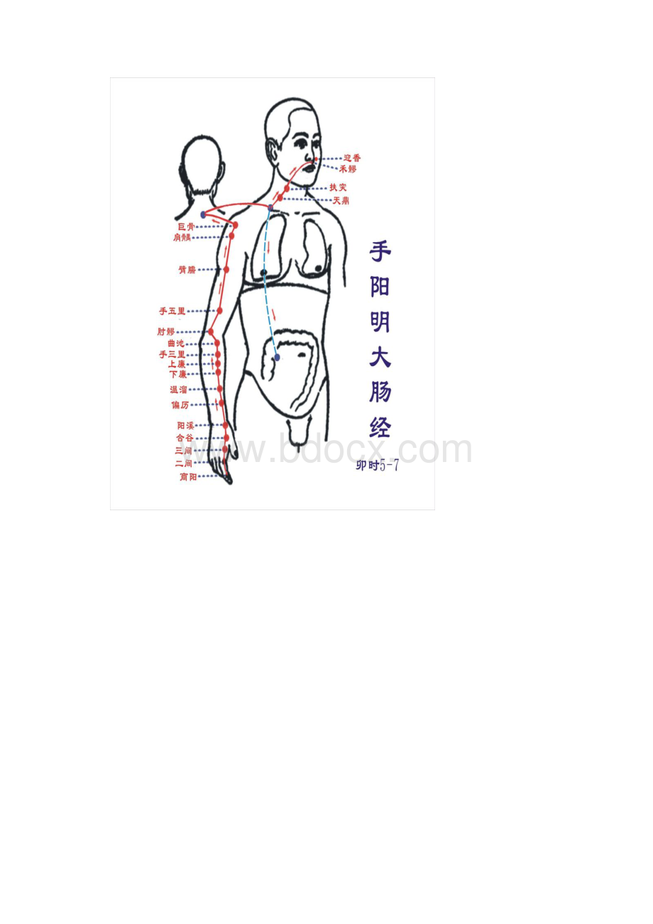 人体经络图及反射区.docx_第2页