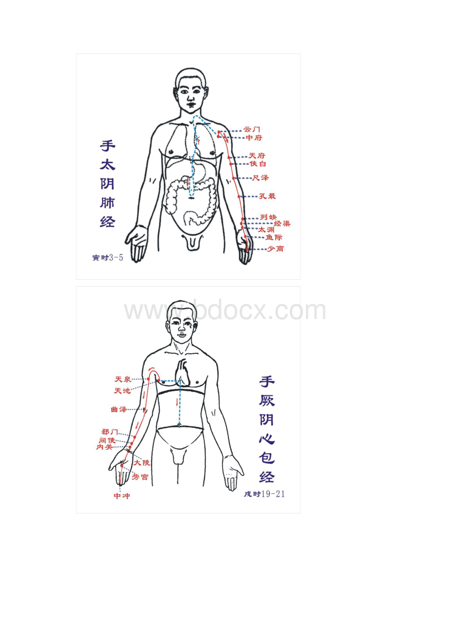 人体经络图及反射区.docx_第3页