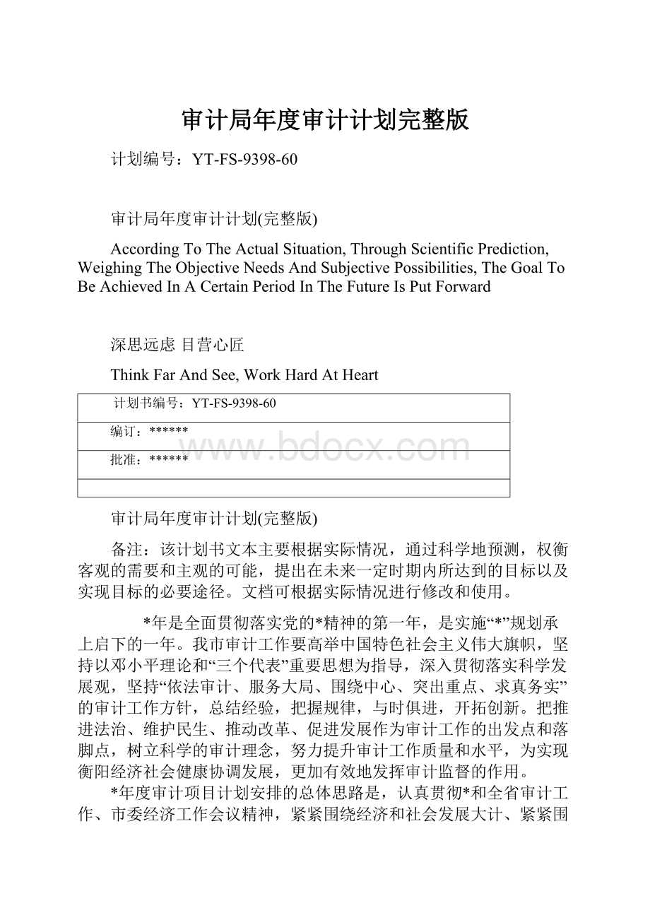 审计局年度审计计划完整版文档格式.docx_第1页