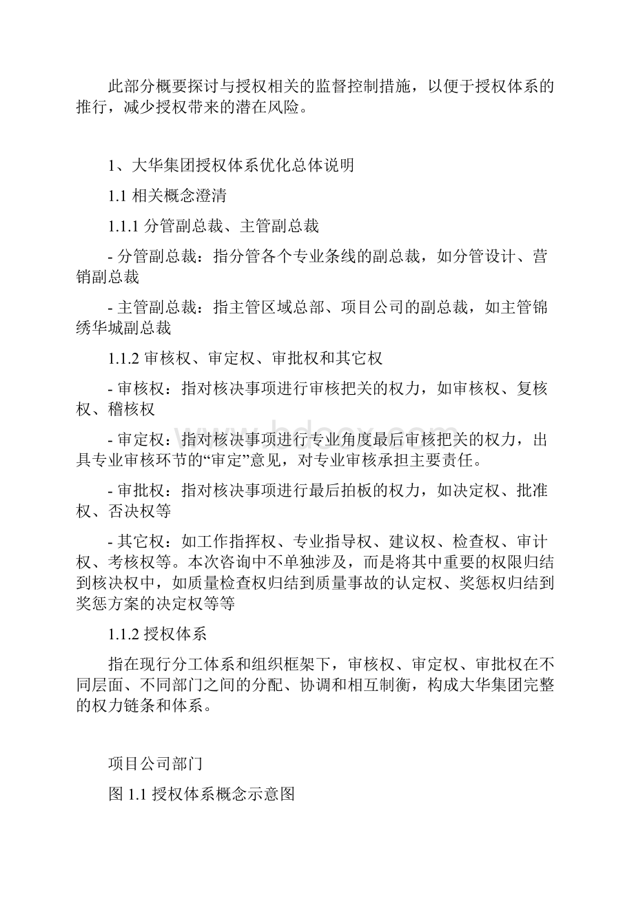 大华集团授权体系优化方案文档格式.docx_第2页