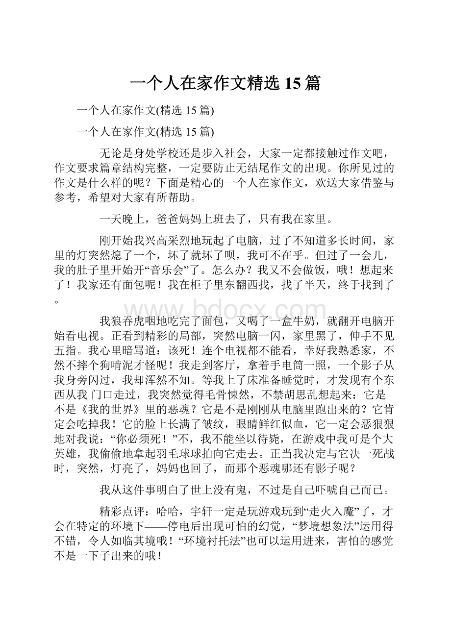 一个人在家作文精选15篇文档格式.docx_第1页