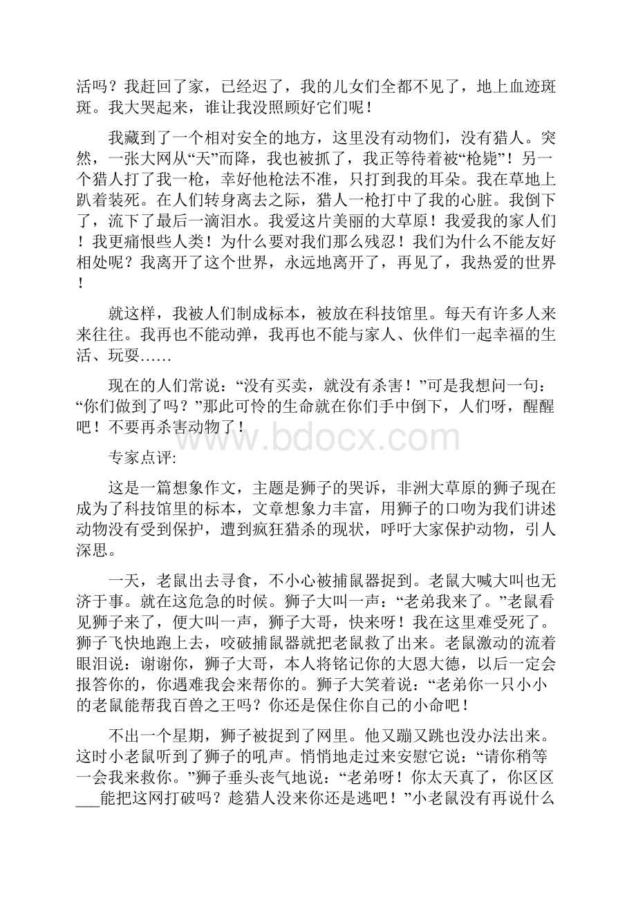 狮子的作文范文Word格式.docx_第2页