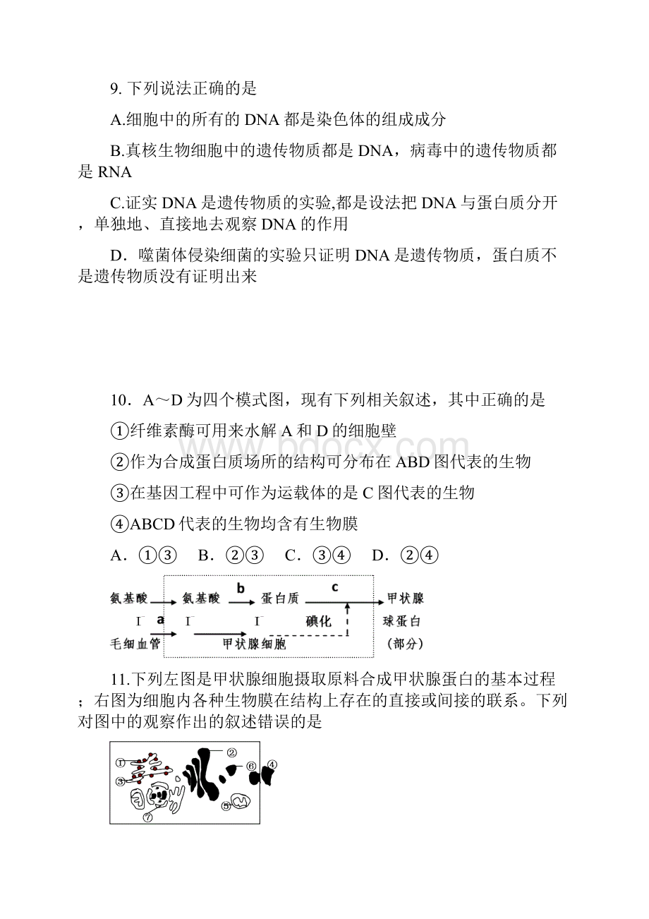 最新北京市朝阳外国语学校学年度第一学期高三第.docx_第3页