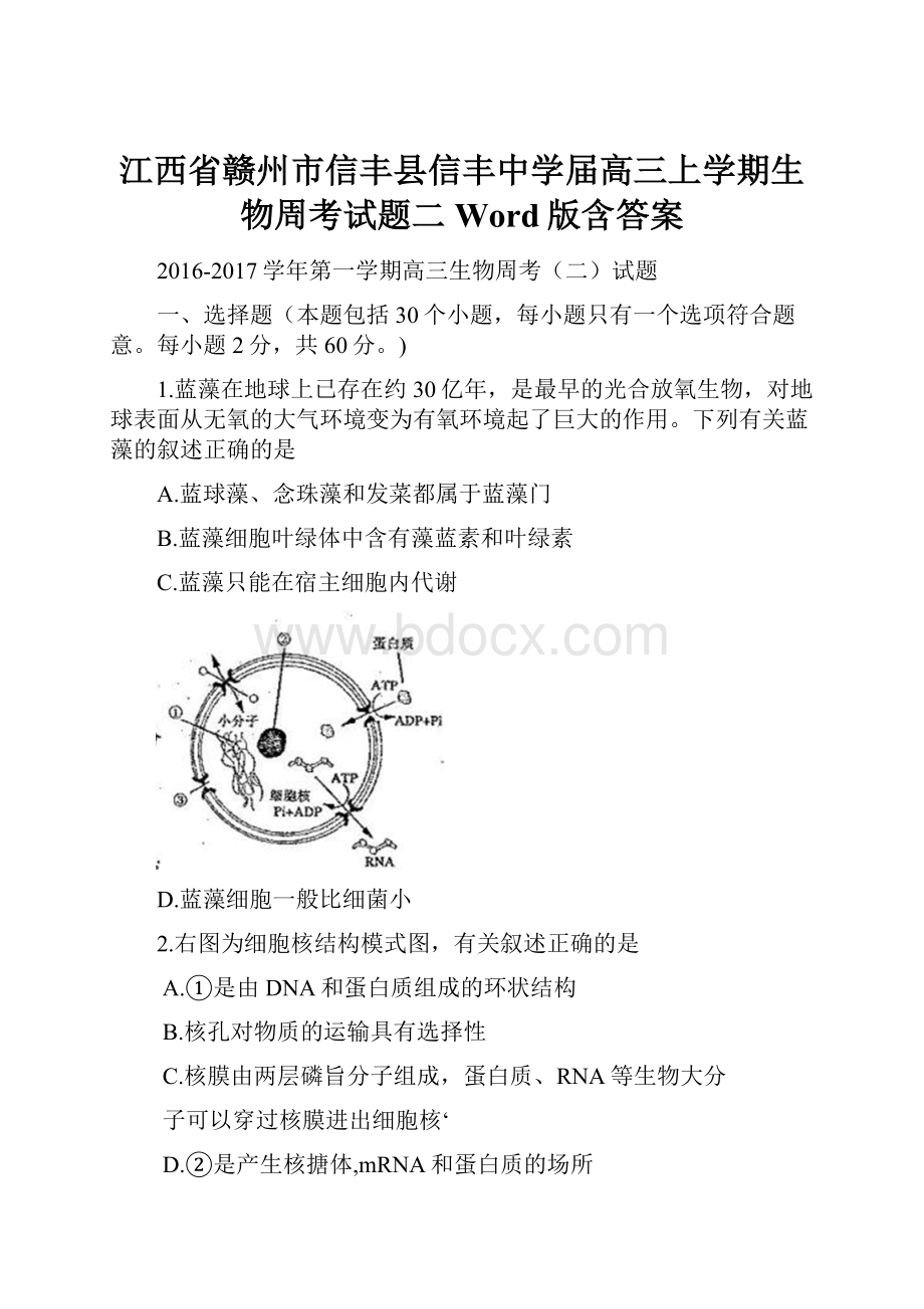 江西省赣州市信丰县信丰中学届高三上学期生物周考试题二 Word版含答案.docx_第1页