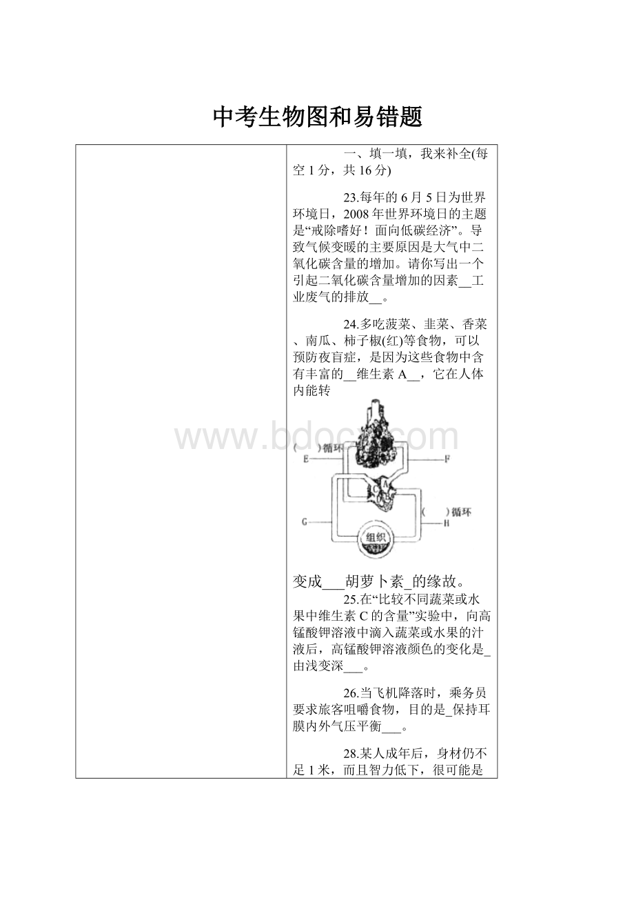 中考生物图和易错题.docx_第1页