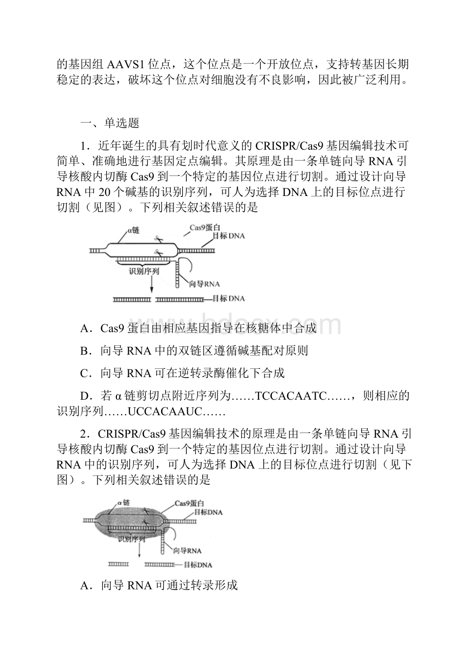 生物高考热点基因编辑技术Word文档下载推荐.docx_第2页