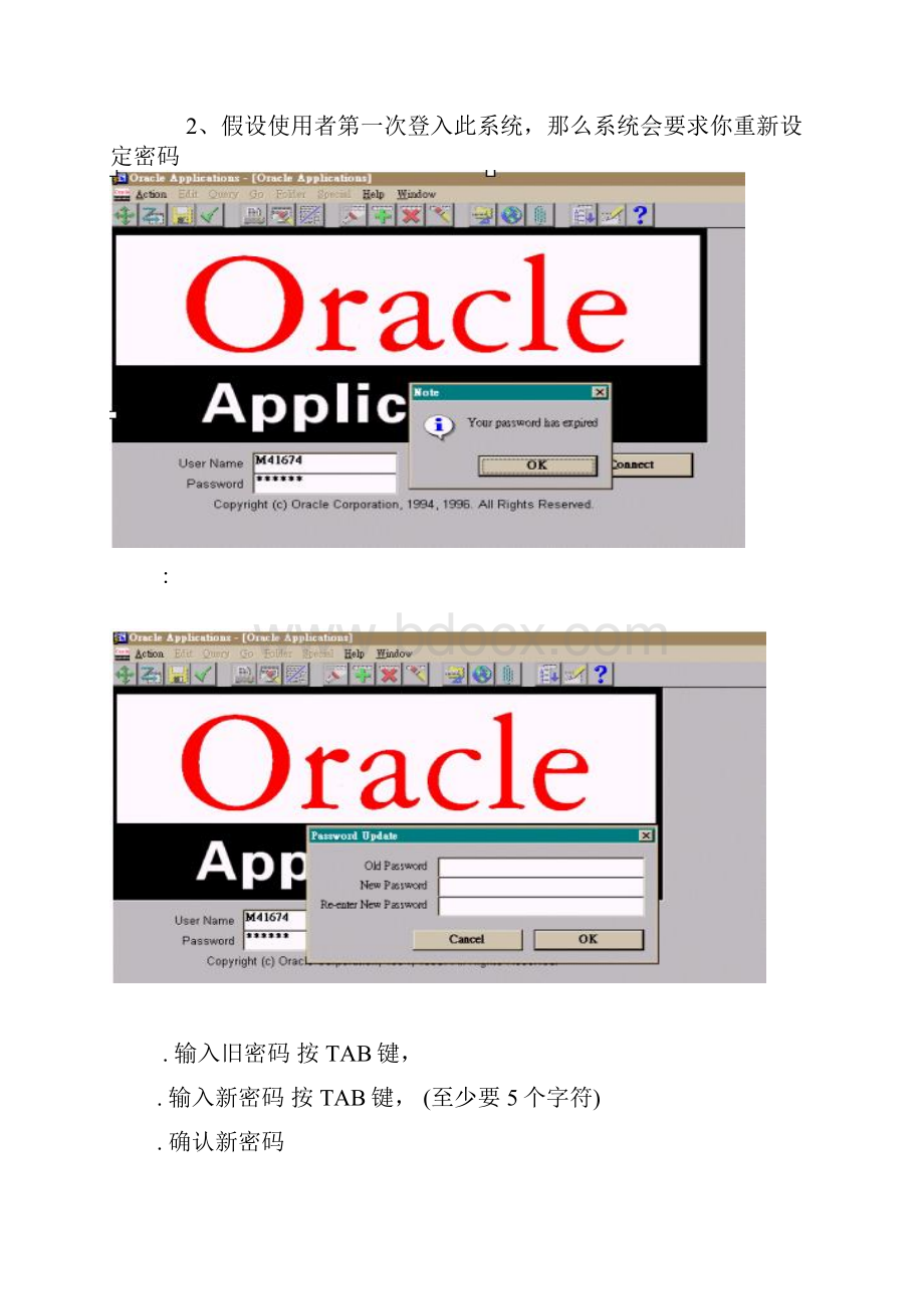 Oracle Application使用手册.docx_第3页