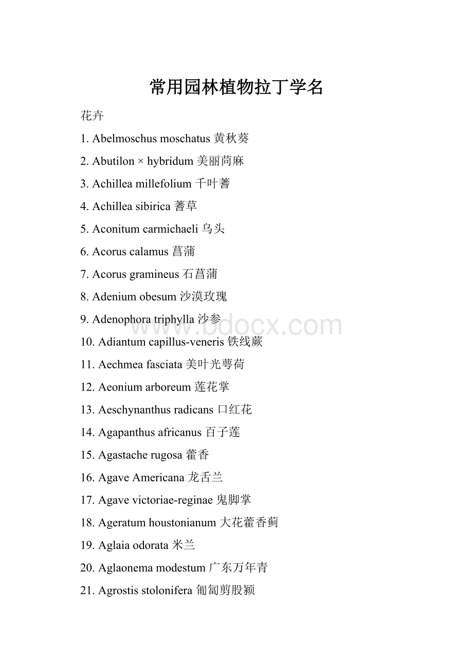 常用园林植物拉丁学名.docx