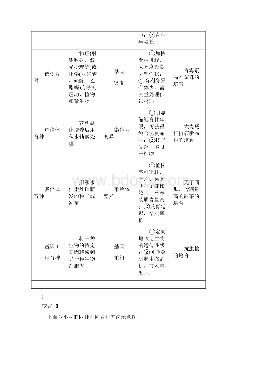 学年高中生物从杂交育种到基因工程微专题八生物育种的相关解题方法学案新人教版文档格式.docx_第2页