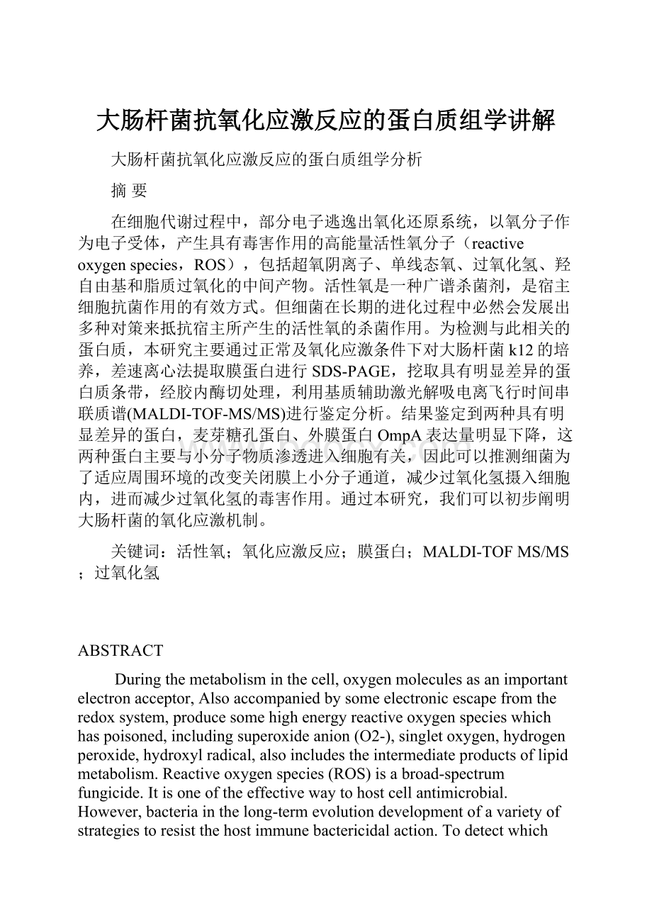 大肠杆菌抗氧化应激反应的蛋白质组学讲解Word格式.docx_第1页