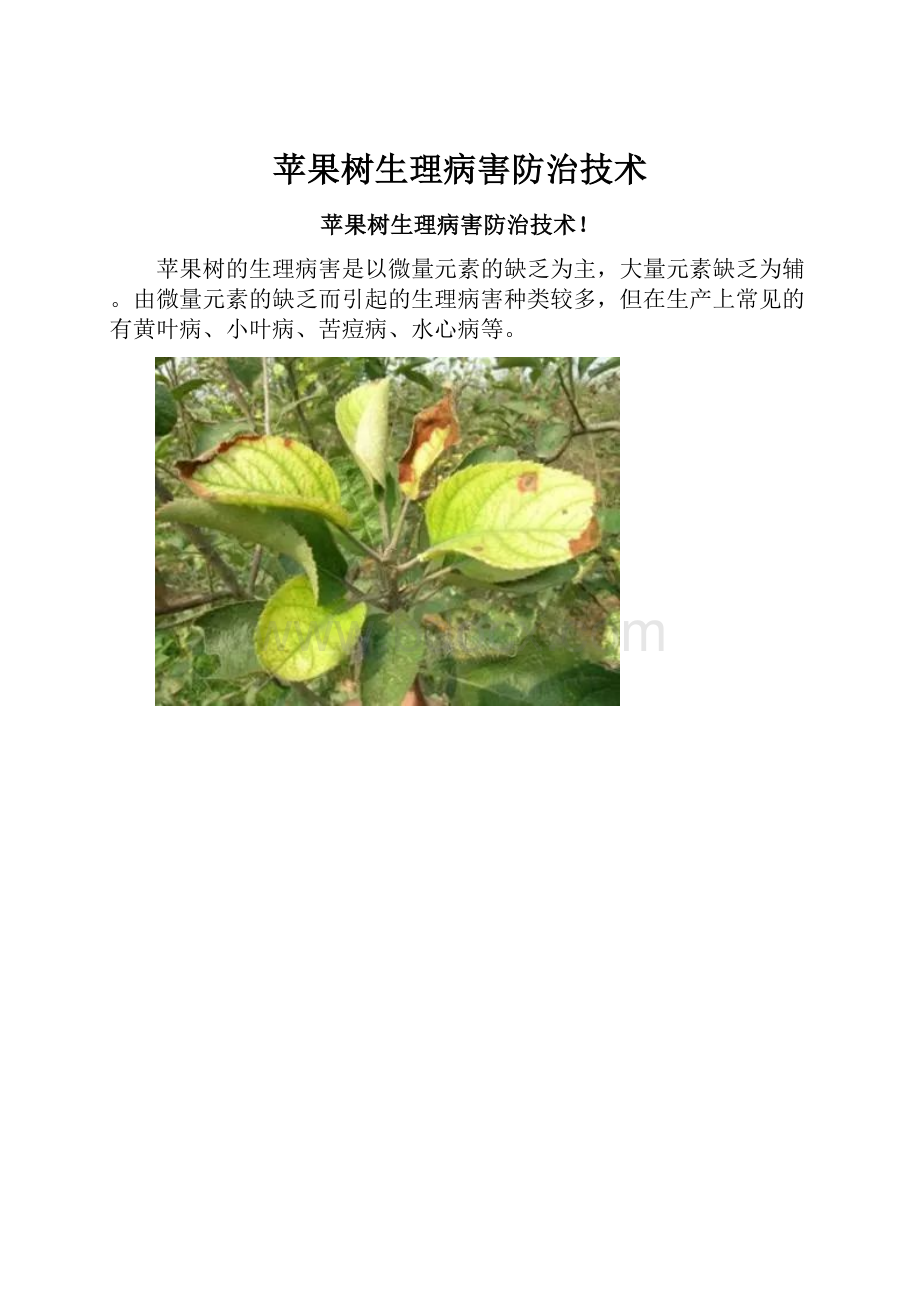 苹果树生理病害防治技术.docx