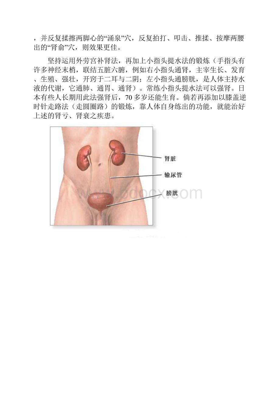 补肾法源于自身Word文件下载.docx_第2页