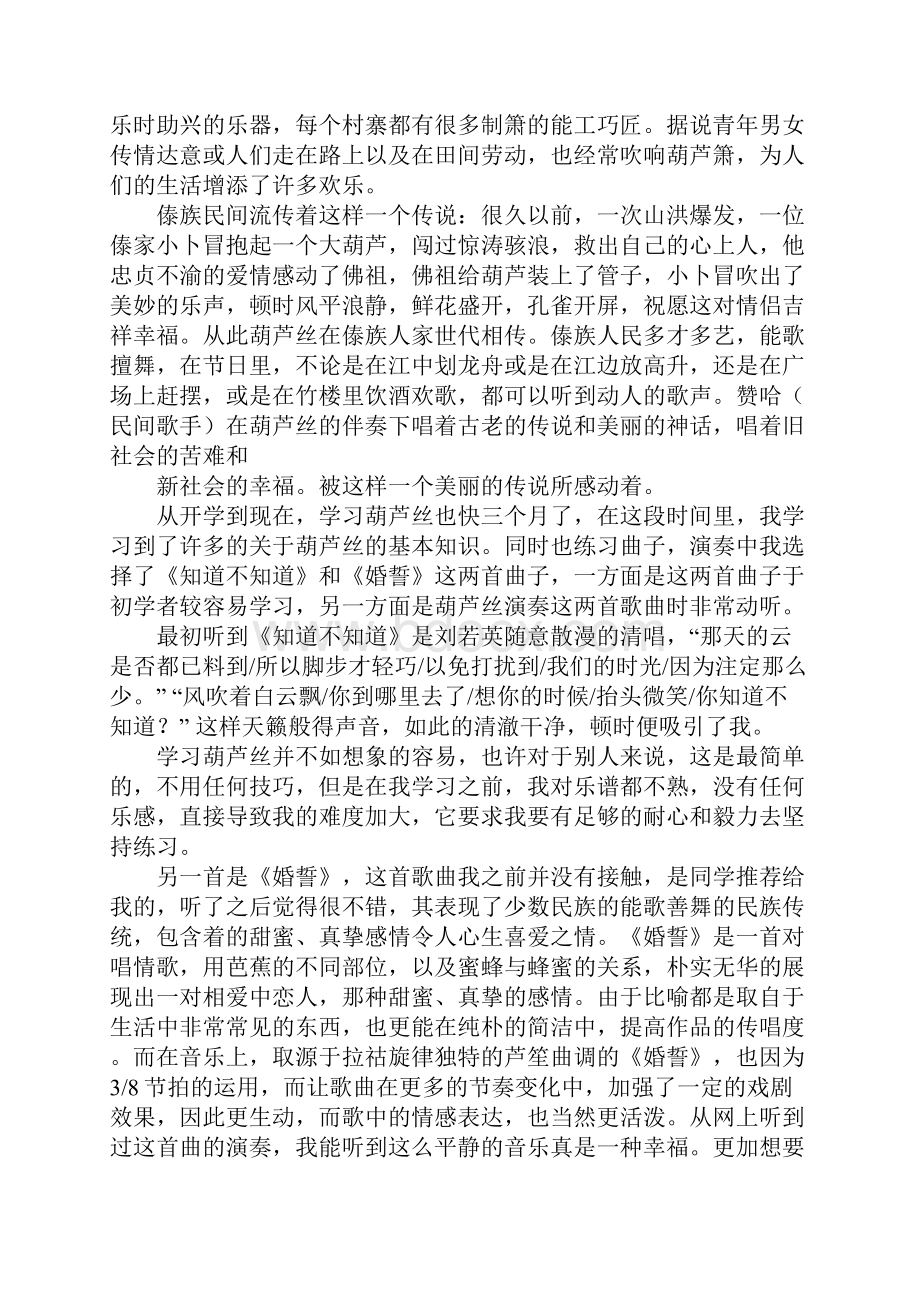 学习葫芦丝心得体会.docx_第3页