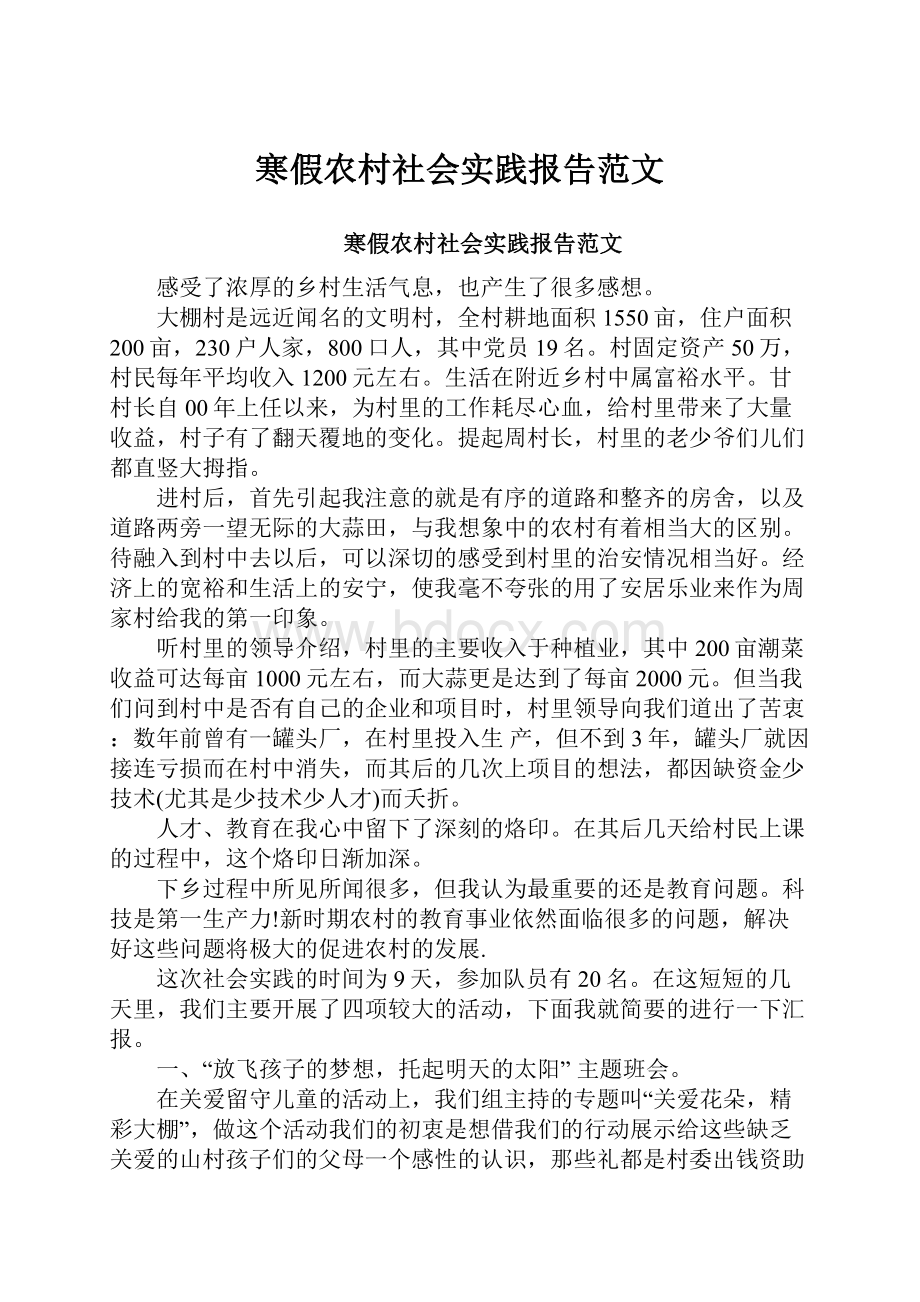 寒假农村社会实践报告范文.docx