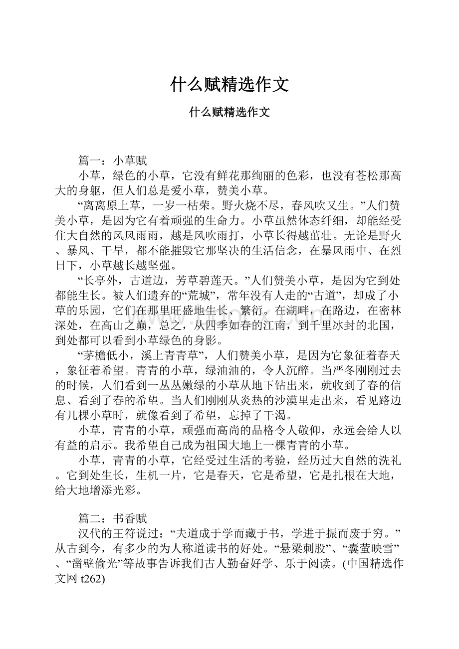 什么赋精选作文Word文档格式.docx