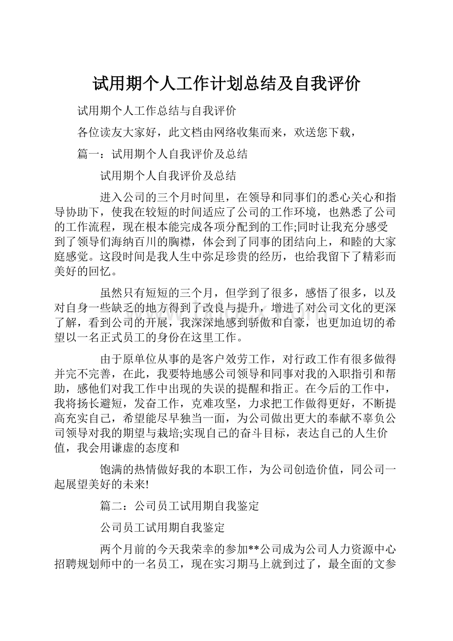 试用期个人工作计划总结及自我评价文档格式.docx_第1页