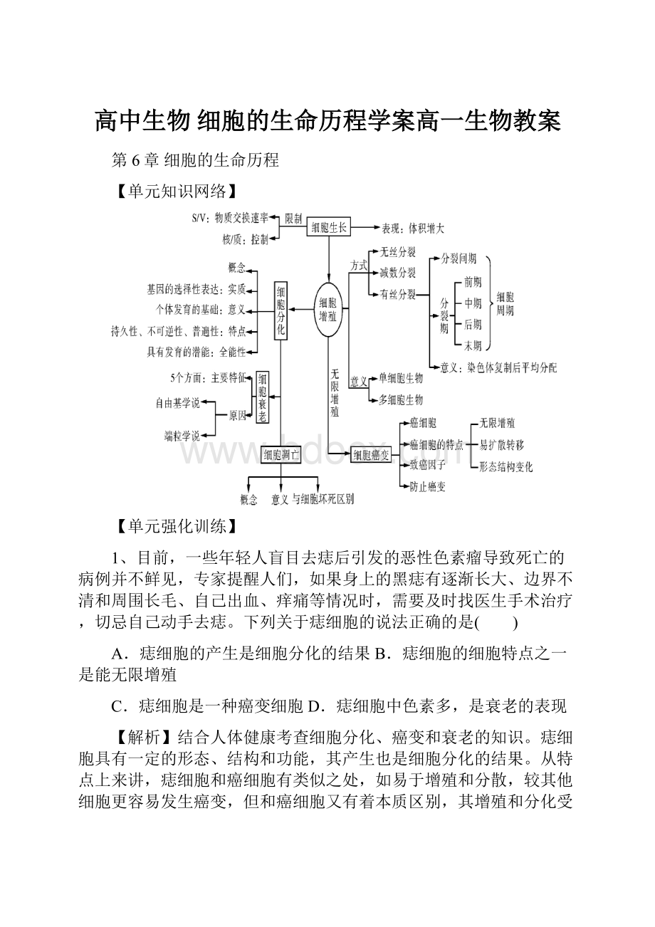 高中生物 细胞的生命历程学案高一生物教案.docx