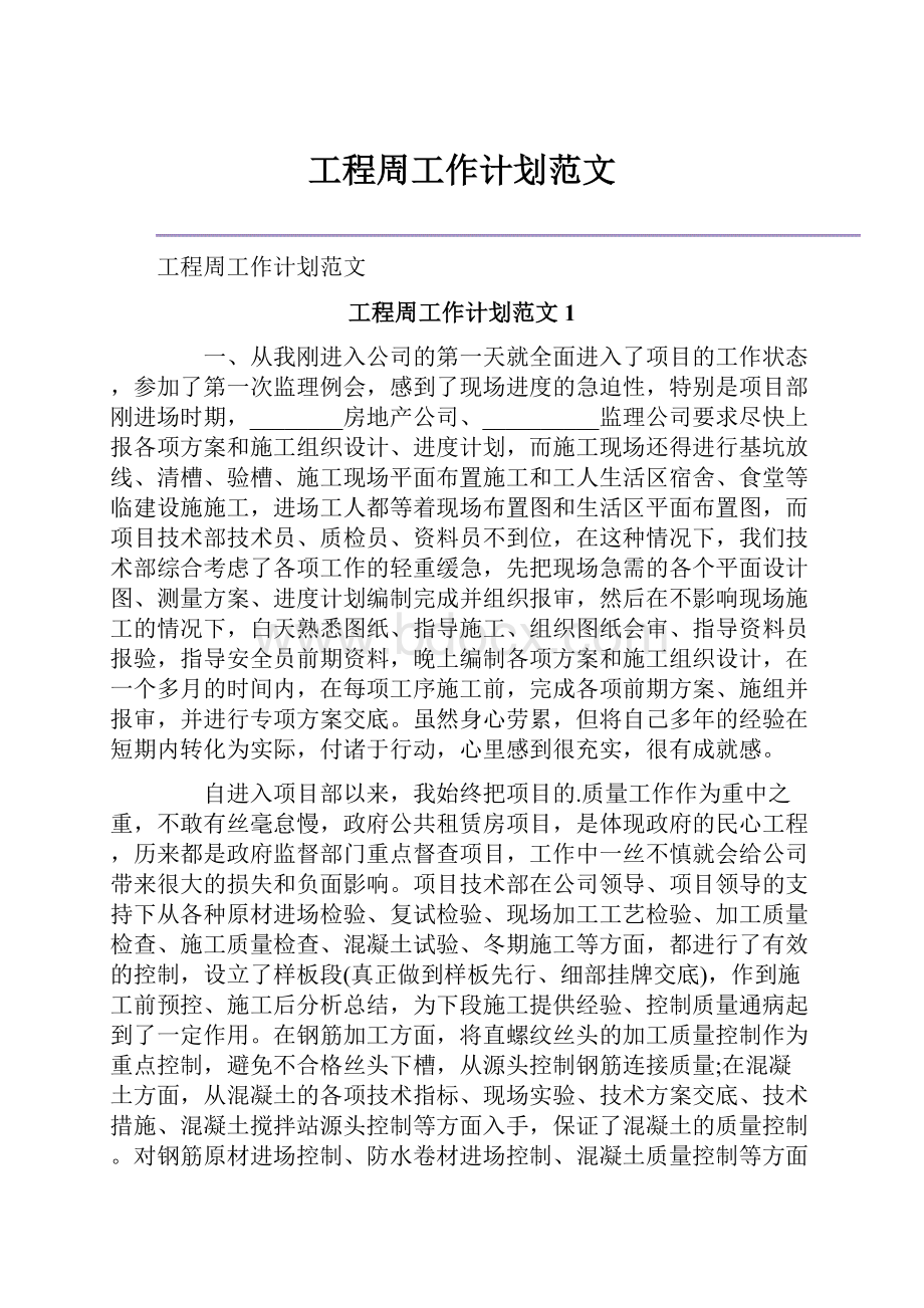 工程周工作计划范文.docx