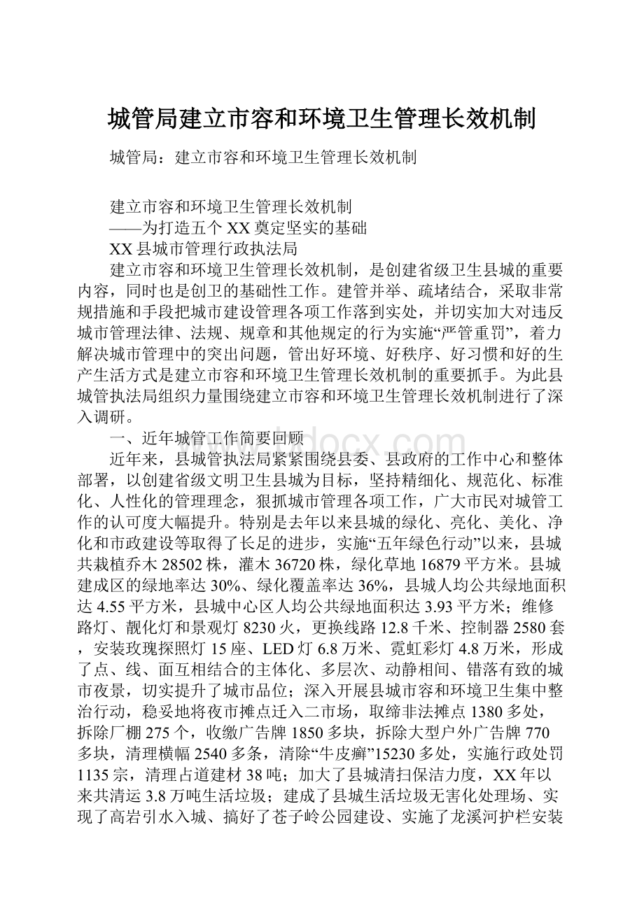 城管局建立市容和环境卫生管理长效机制.docx