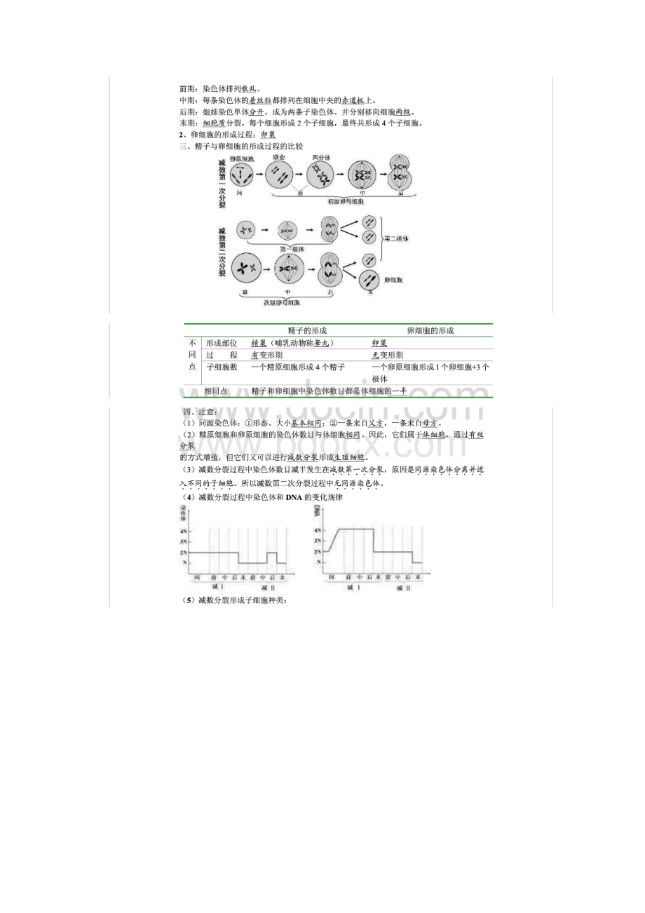 生物必修二知识点全Word文档下载推荐.docx_第3页