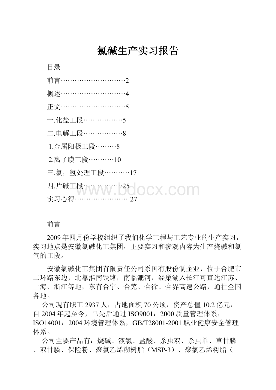 氯碱生产实习报告Word文档格式.docx