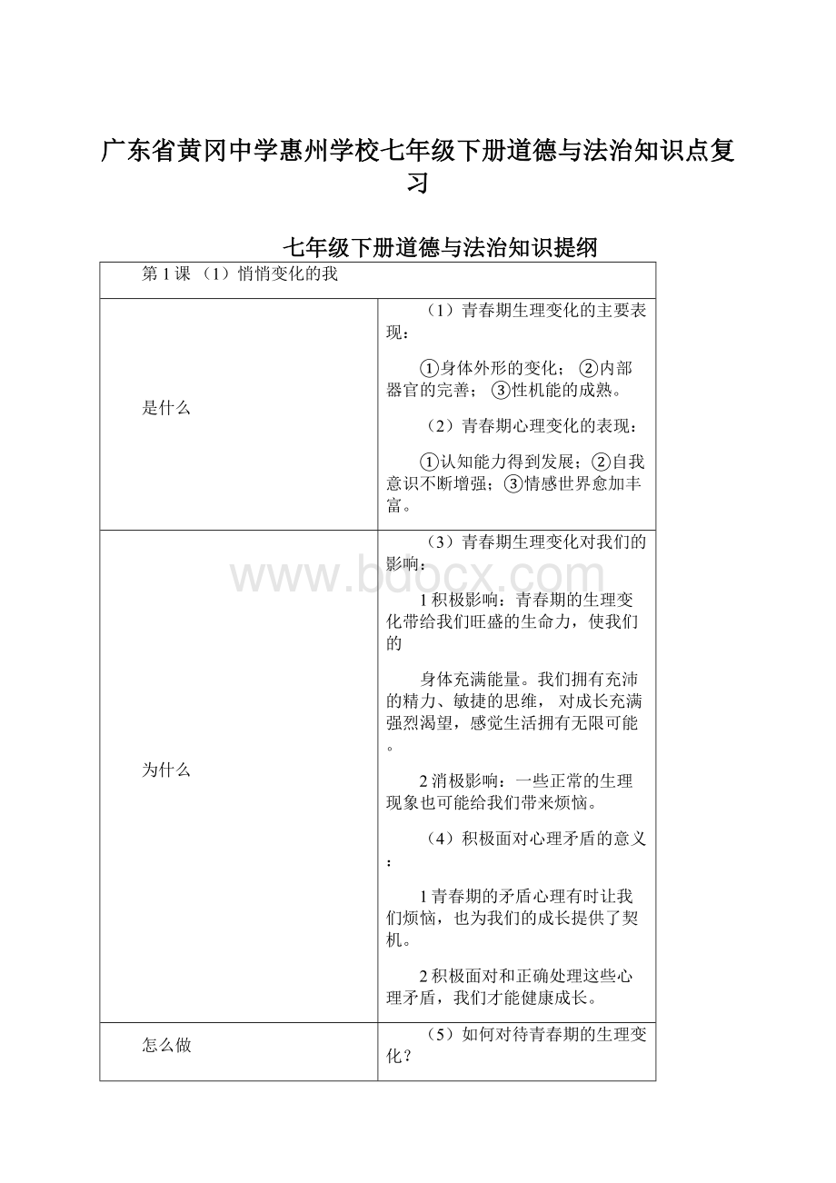 广东省黄冈中学惠州学校七年级下册道德与法治知识点复习Word文档格式.docx