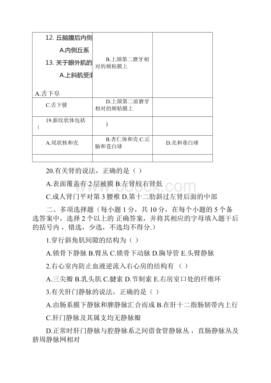 系统解剖学模拟试题及答案.docx_第3页