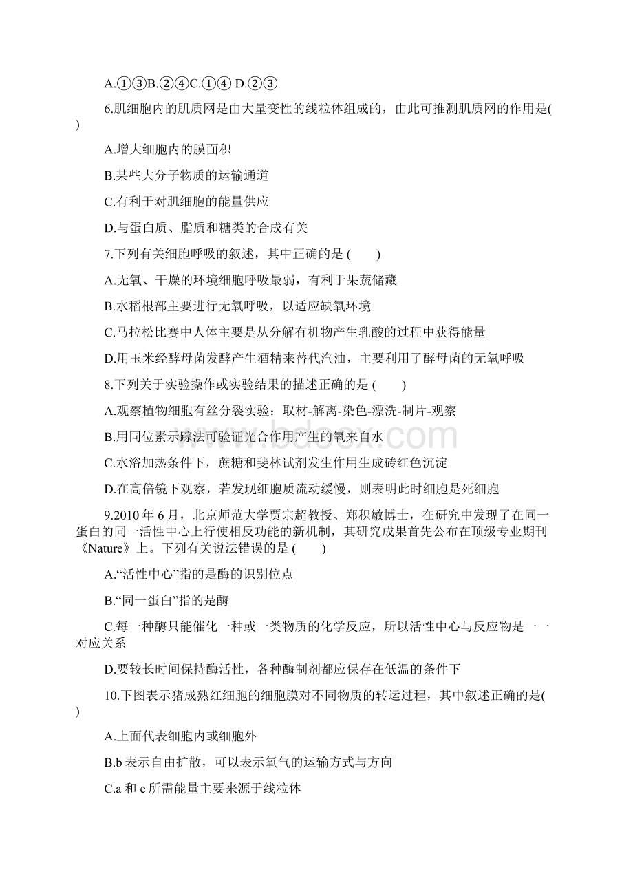 高一生物必修一期末检测试题人教版有答案和解释.docx_第2页