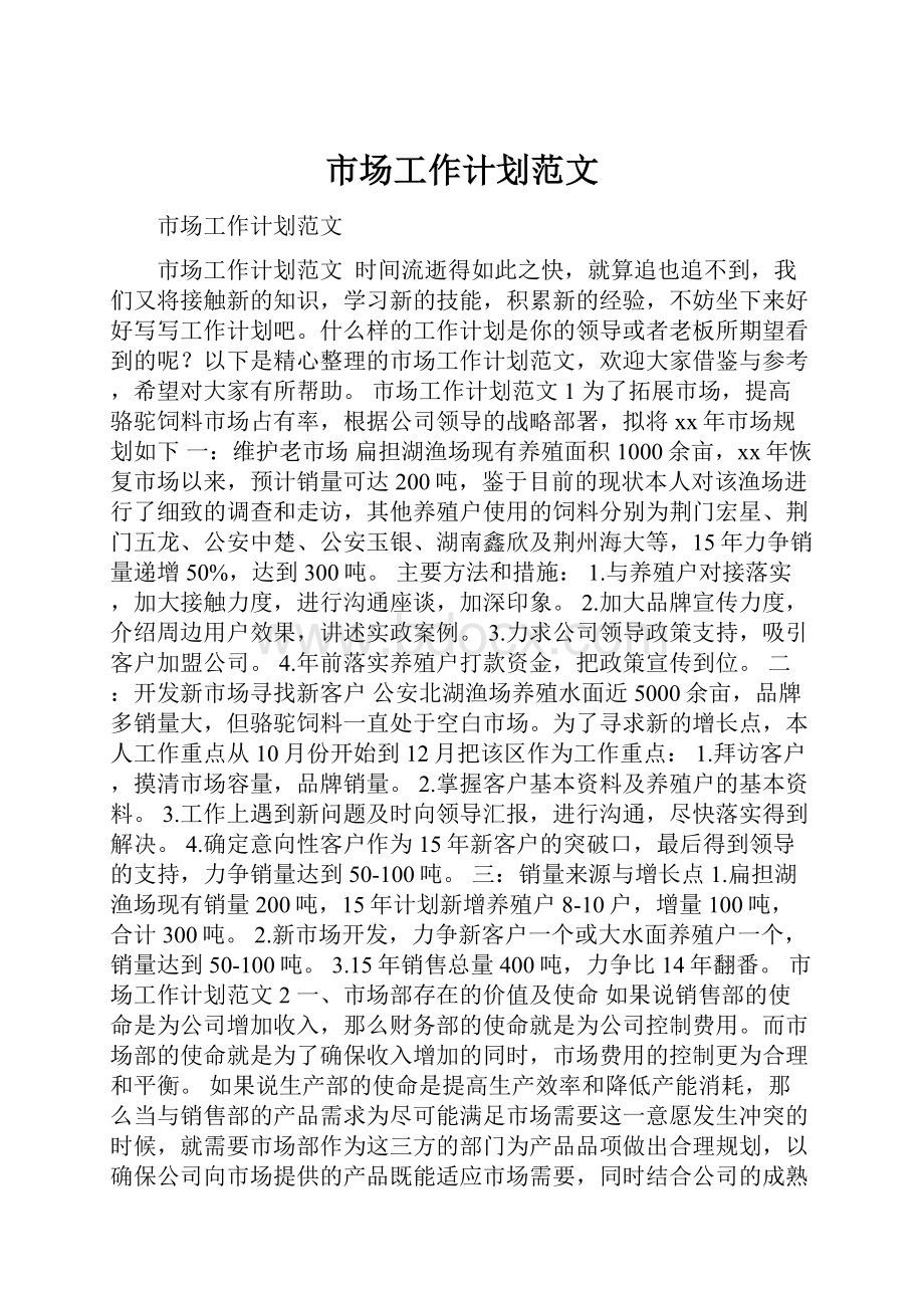 市场工作计划范文Word文档格式.docx