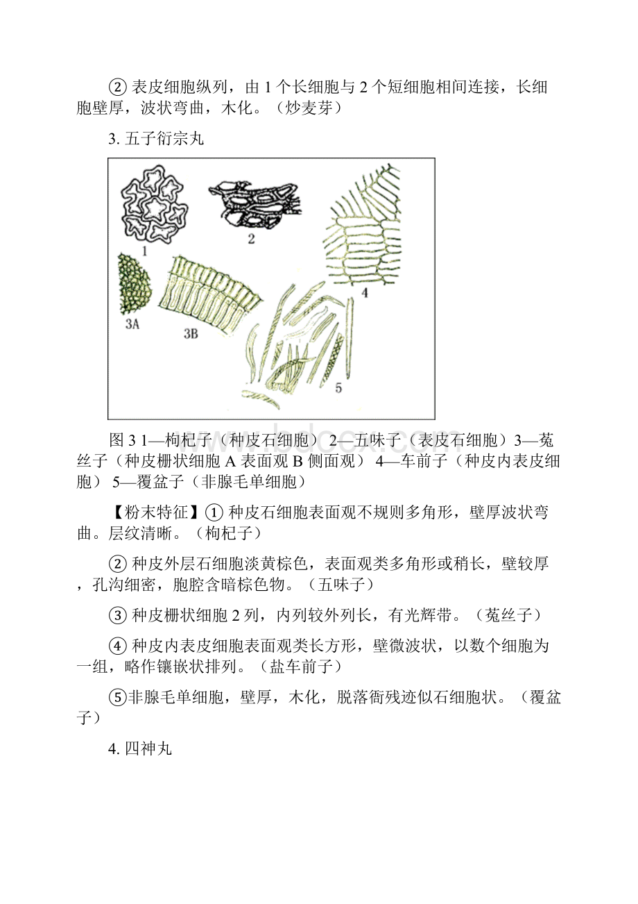 产品显微图DOC47页.docx_第2页