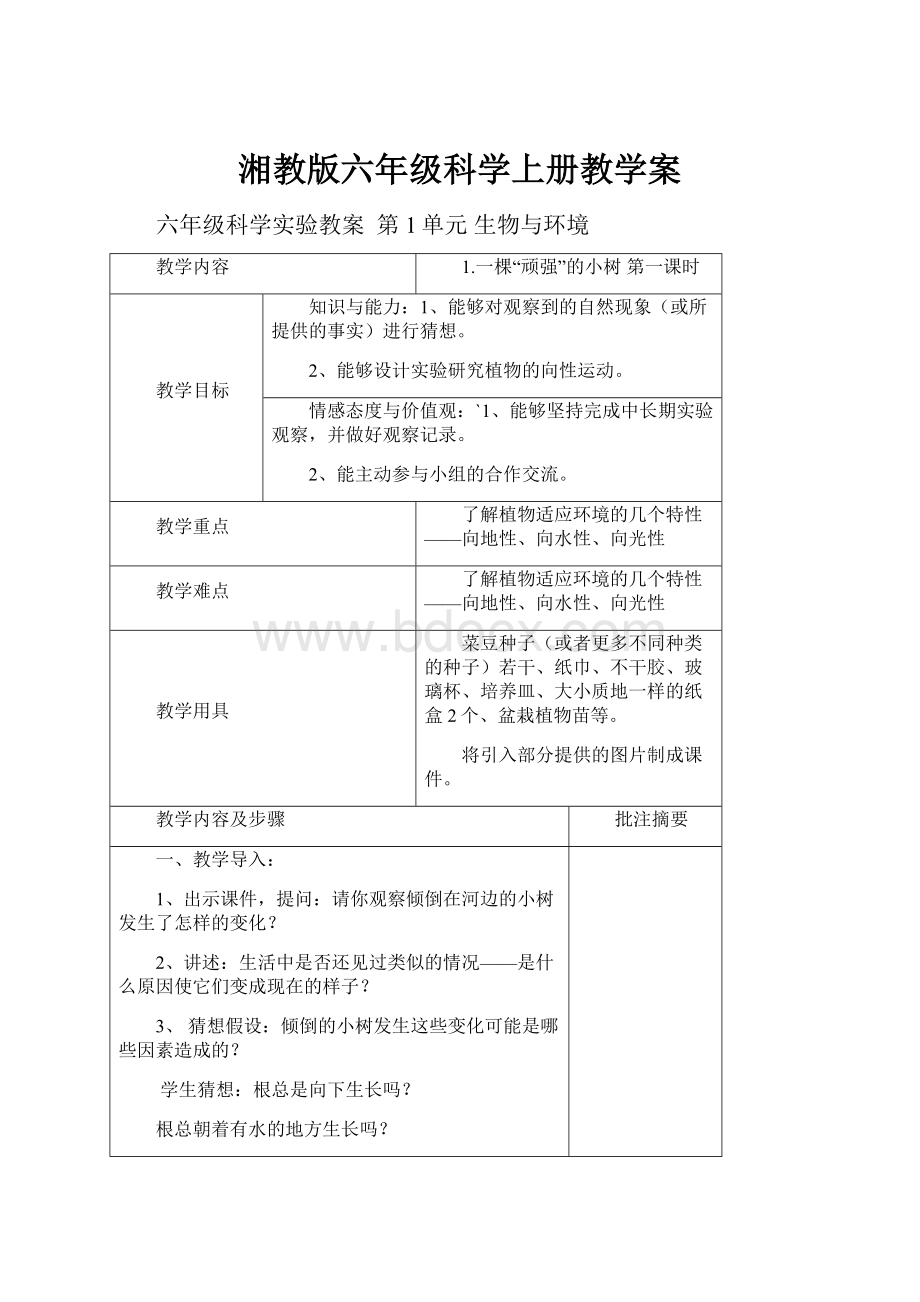 湘教版六年级科学上册教学案.docx_第1页