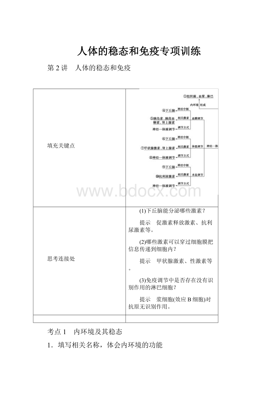 人体的稳态和免疫专项训练.docx