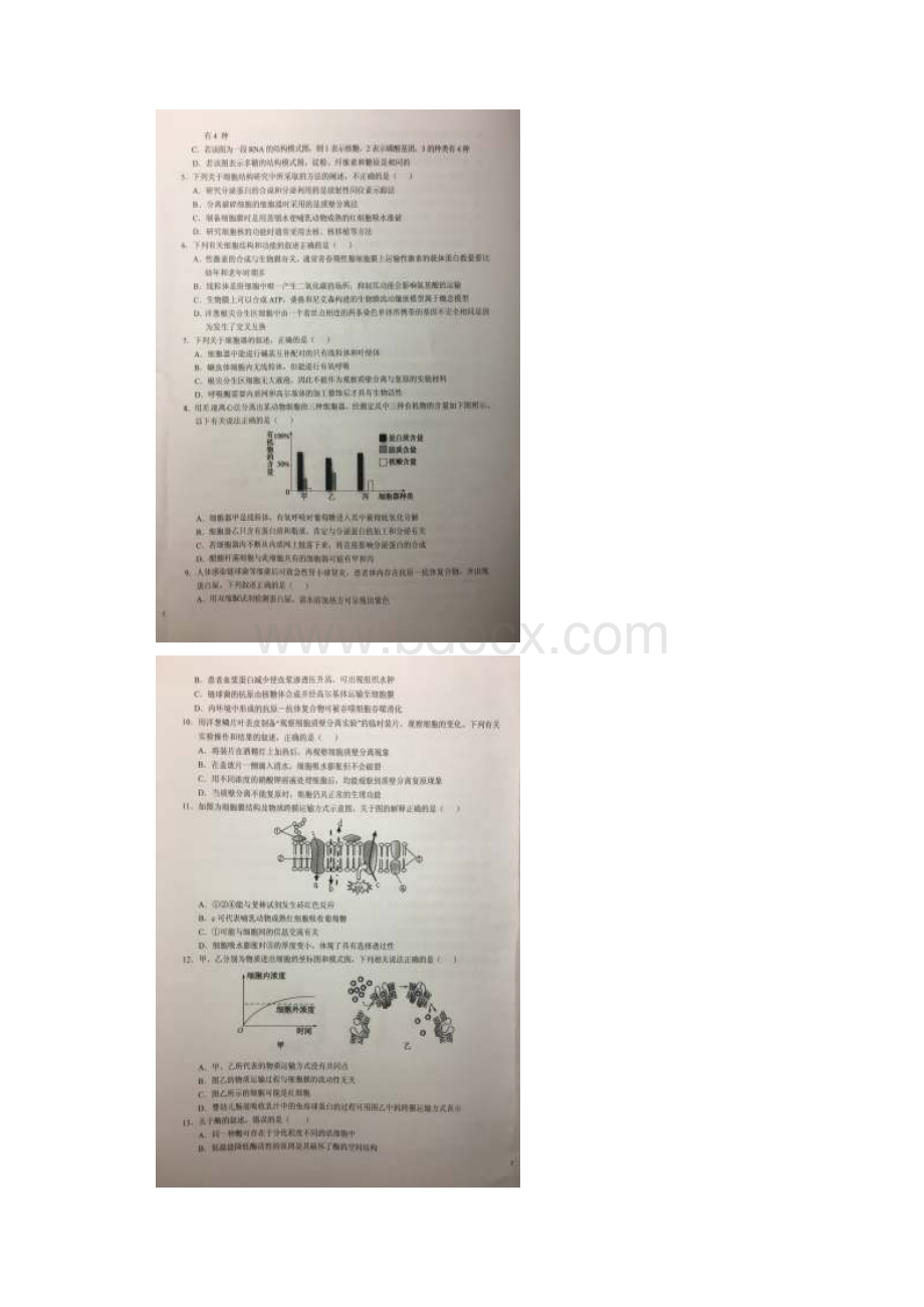 学年安徽省六安市第一中学高二下学期暑假针对性考试一生物试题图片版.docx_第2页