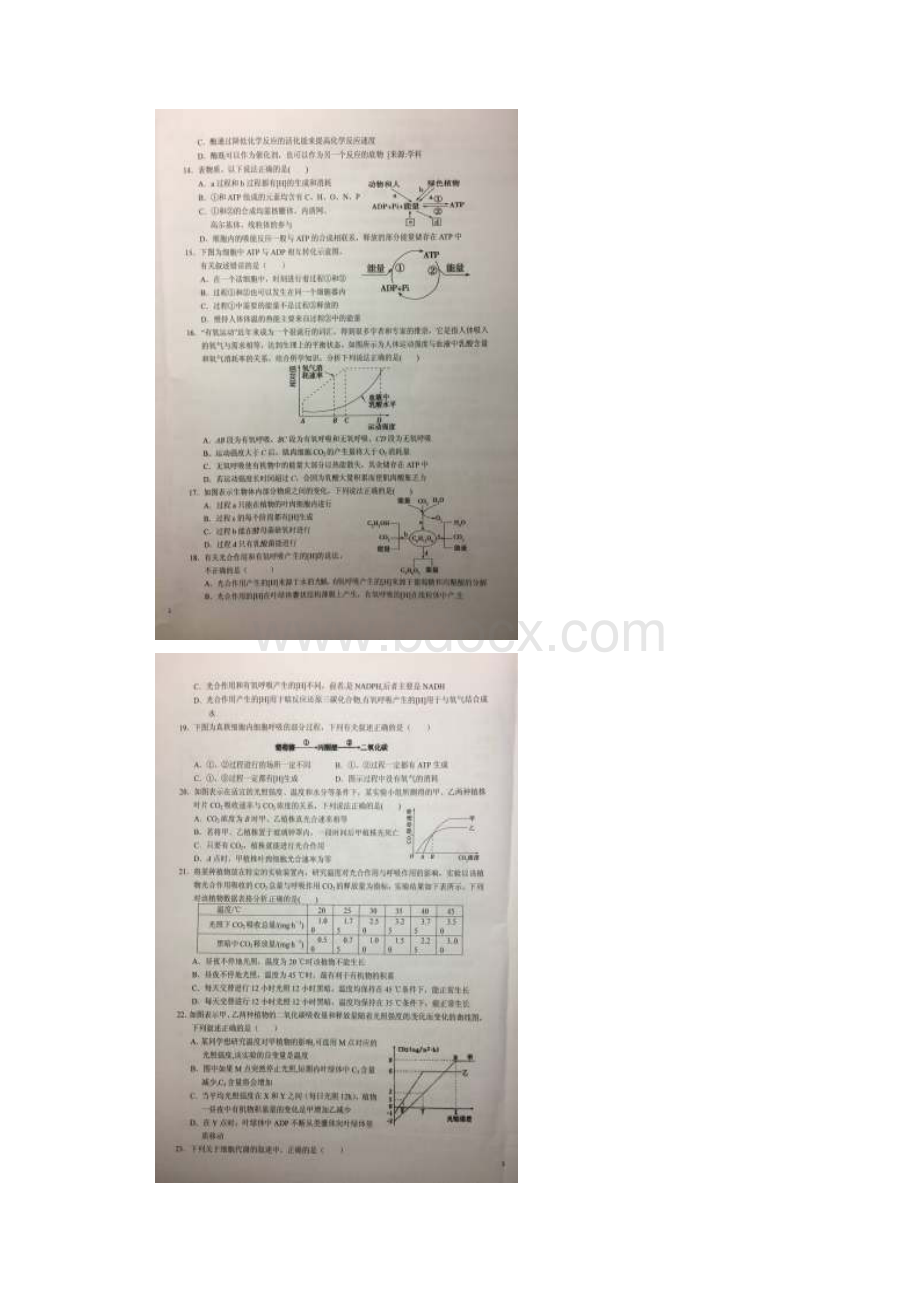 学年安徽省六安市第一中学高二下学期暑假针对性考试一生物试题图片版.docx_第3页