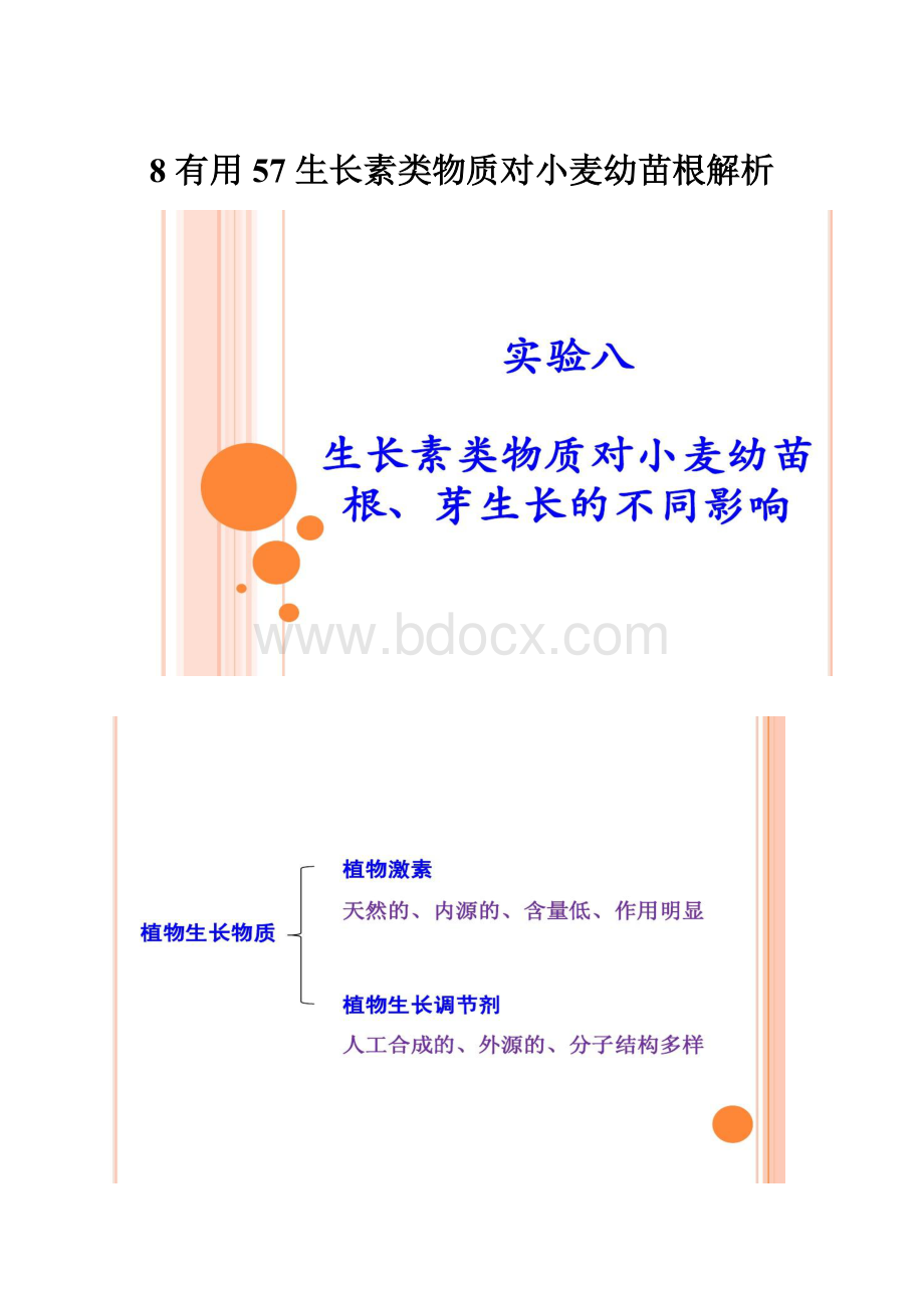 8 有用57 生长素类物质对小麦幼苗根解析Word文档格式.docx_第1页