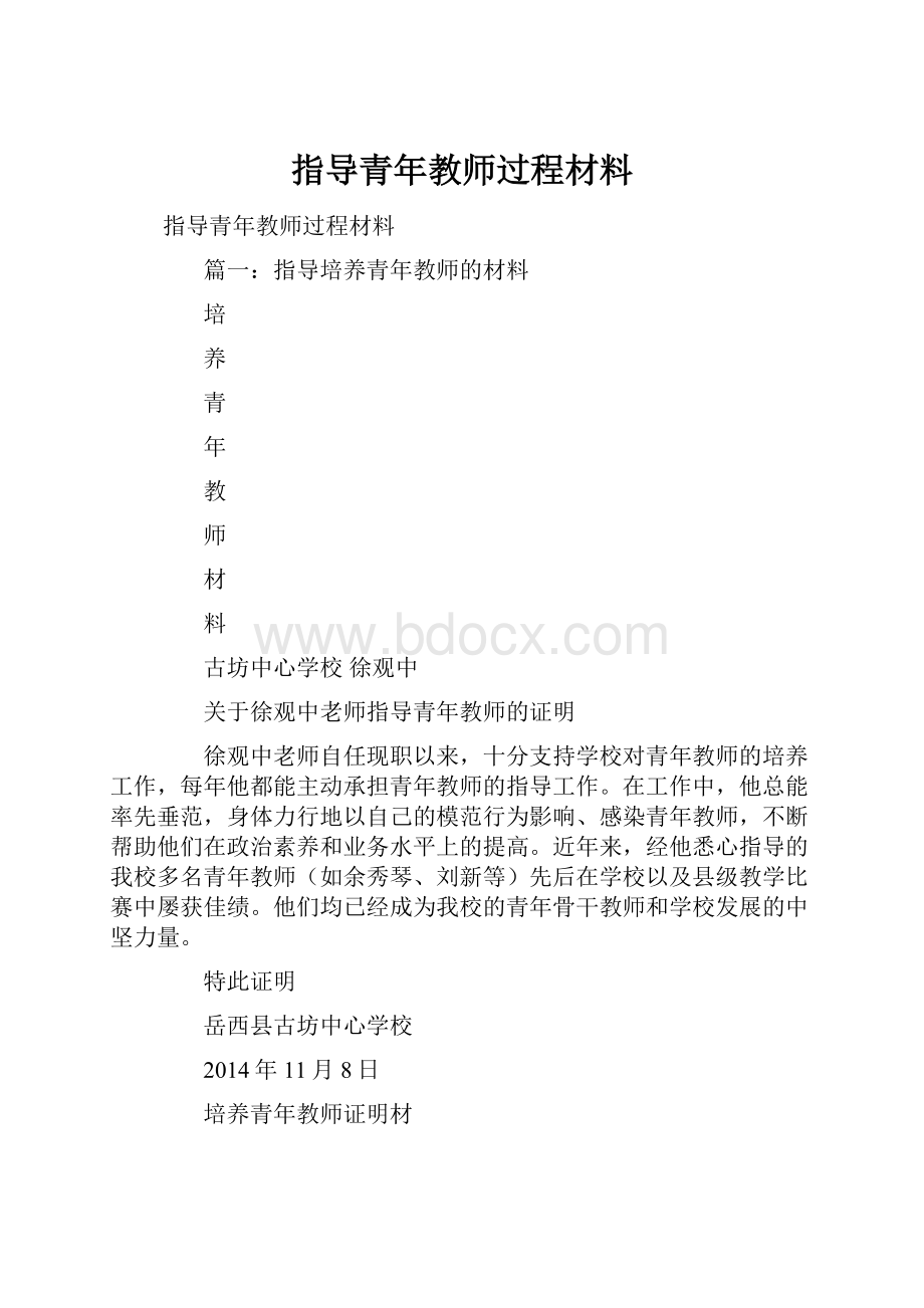 指导青年教师过程材料Word文档格式.docx