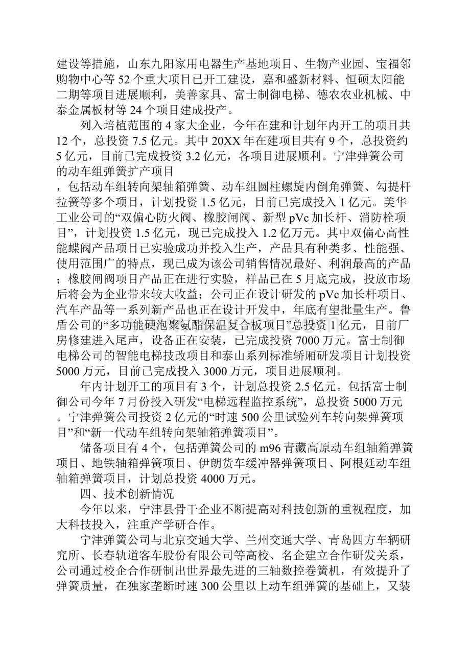 宁津县大企业培植情况汇报.docx_第3页