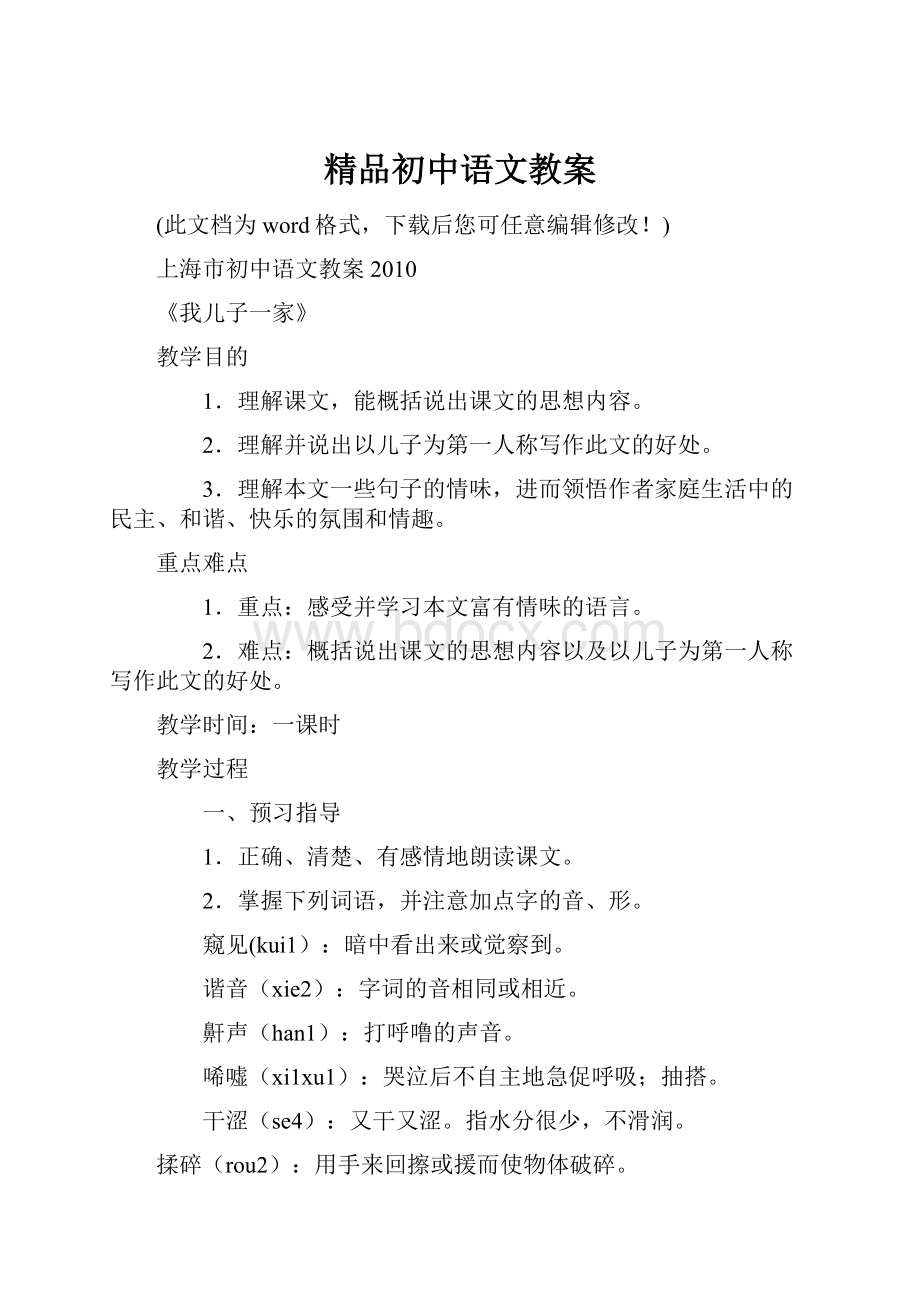 精品初中语文教案.docx