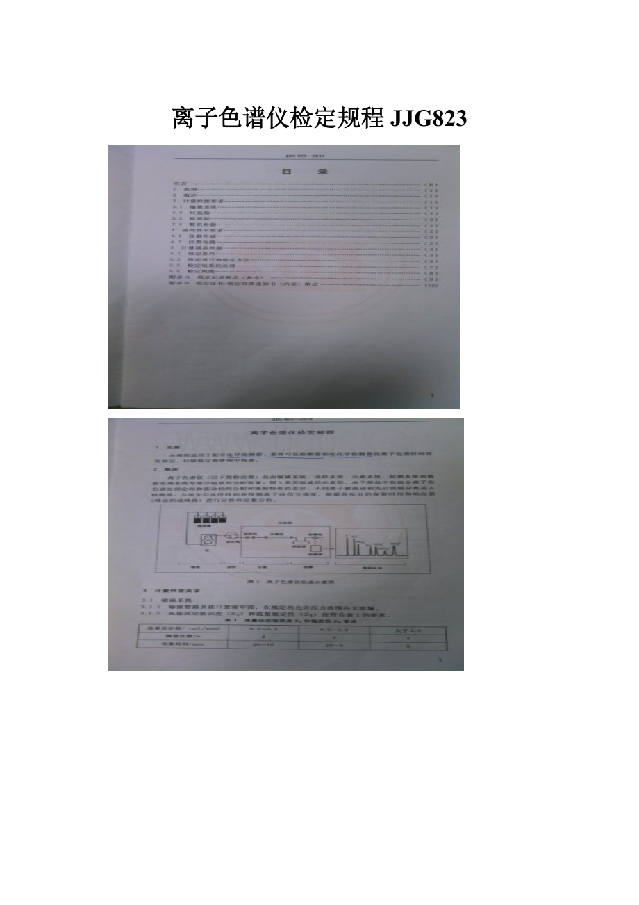 离子色谱仪检定规程JJG823.docx_第1页