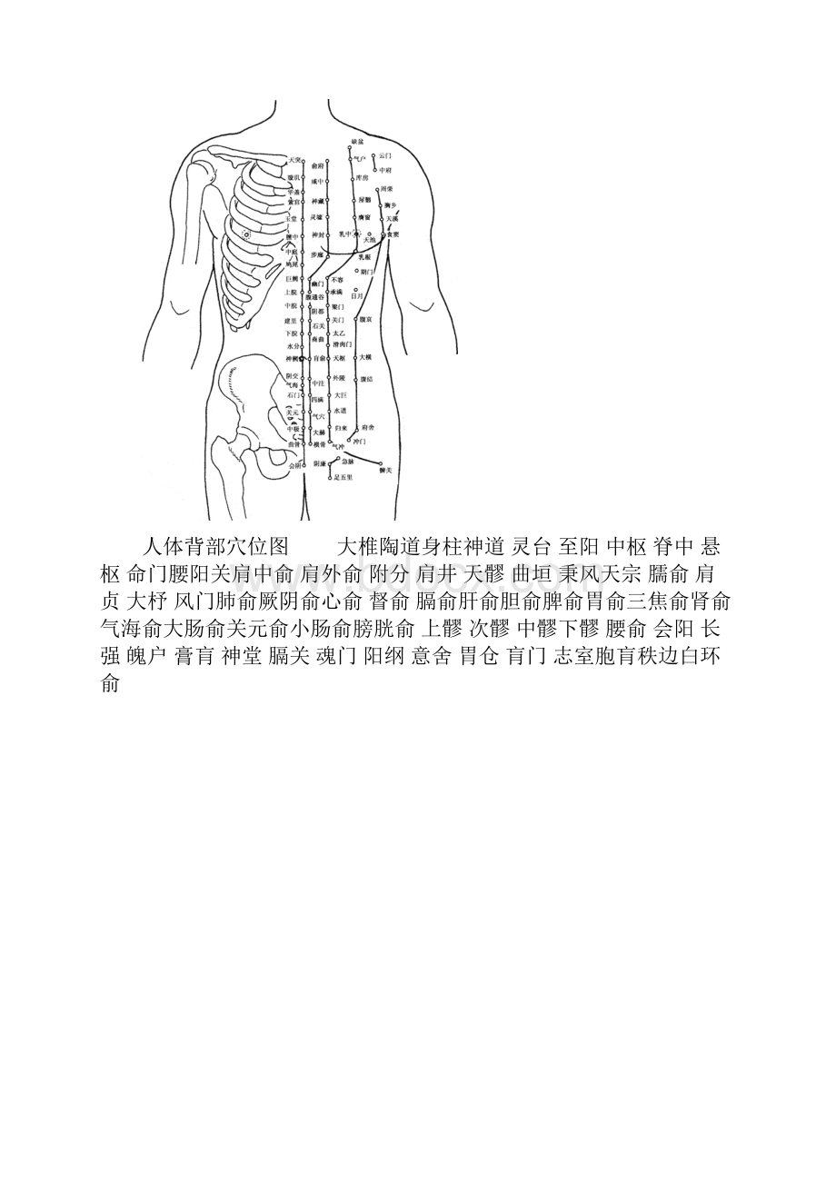 人体穴位图及作用Word格式文档下载.docx_第3页