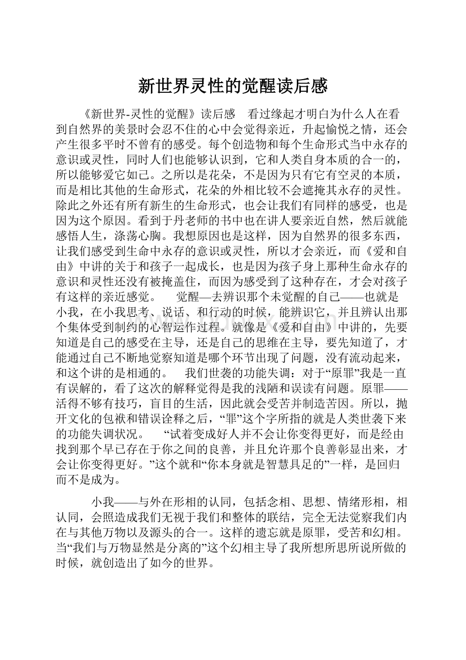 新世界灵性的觉醒读后感Word文件下载.docx