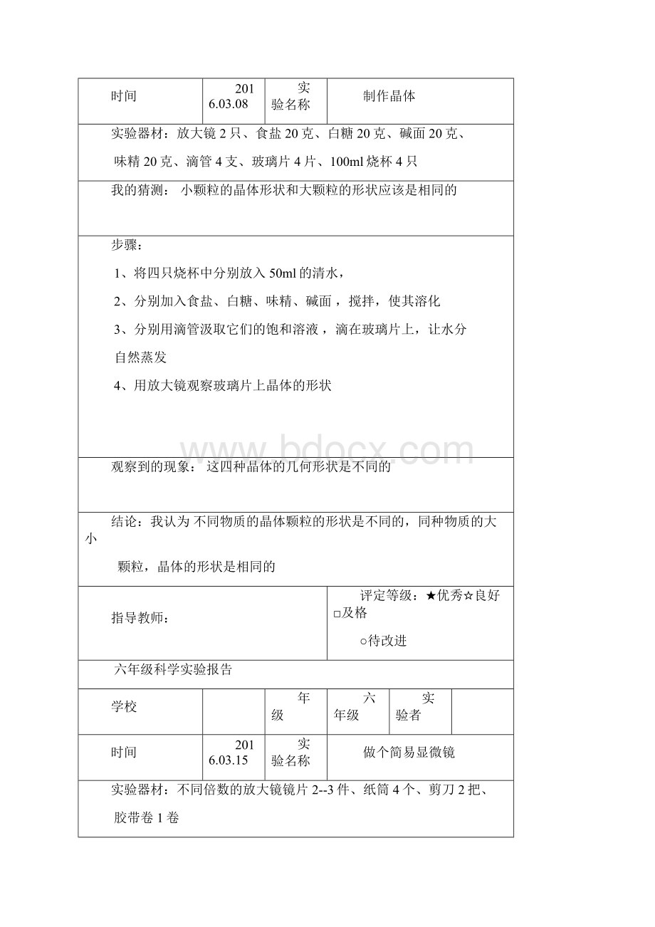 教科版六年级科学下册实验报告单全.docx_第3页