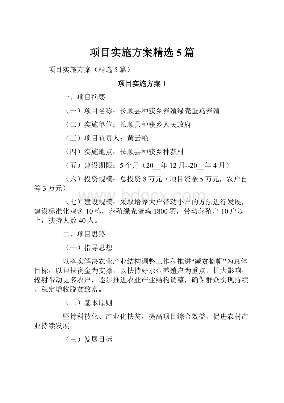 项目实施方案精选5篇文档格式.docx