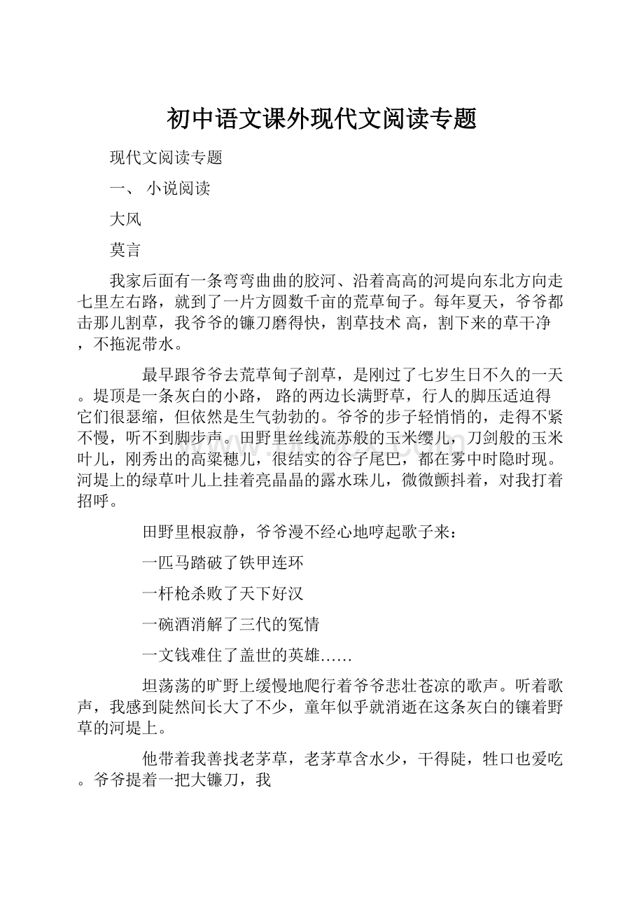 初中语文课外现代文阅读专题Word格式文档下载.docx