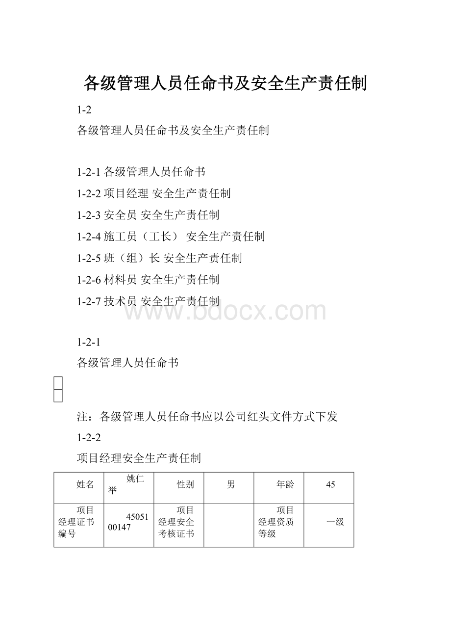 各级管理人员任命书及安全生产责任制.docx