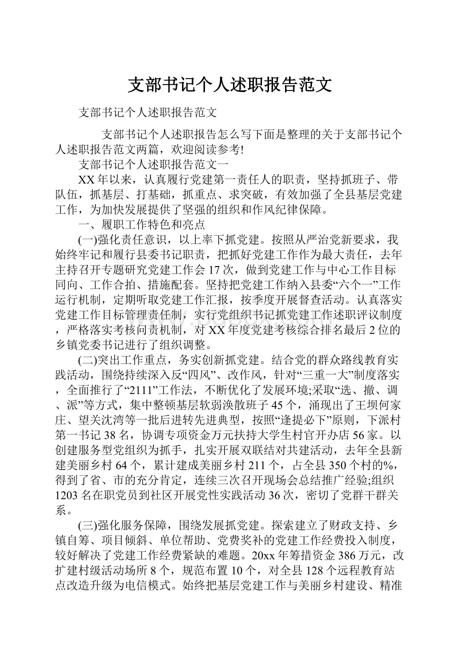 支部书记个人述职报告范文Word下载.docx