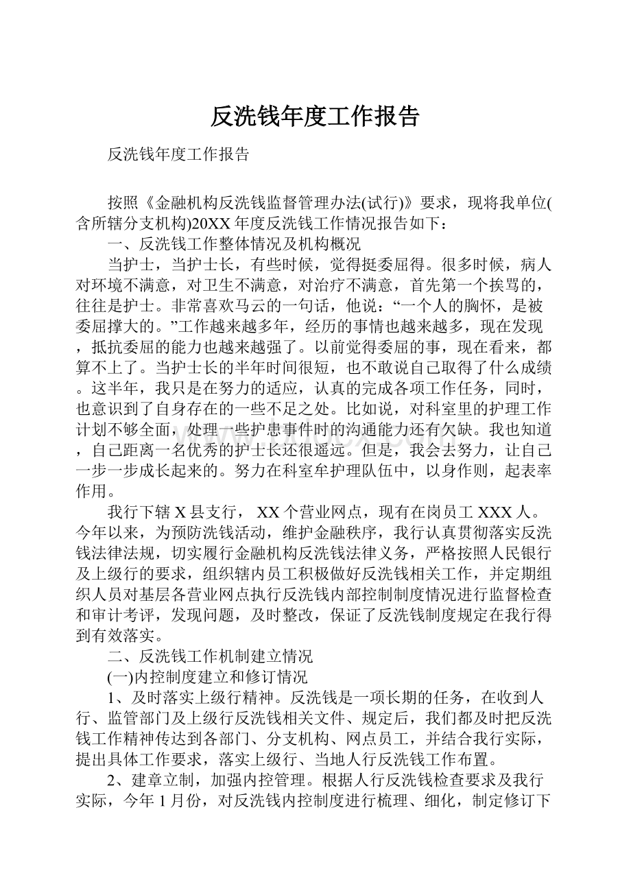 反洗钱年度工作报告Word格式.docx