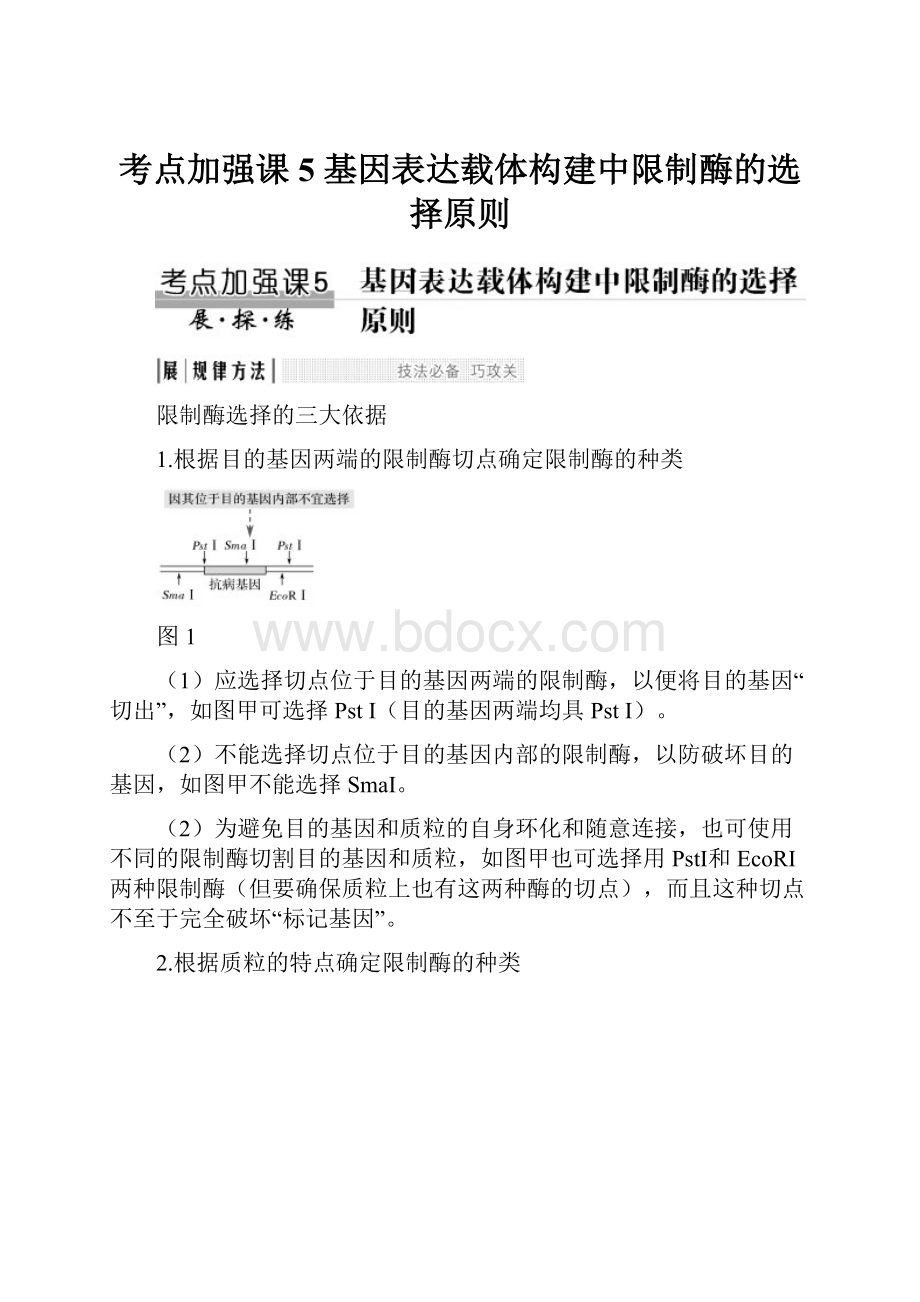 考点加强课5 基因表达载体构建中限制酶的选择原则Word格式文档下载.docx_第1页