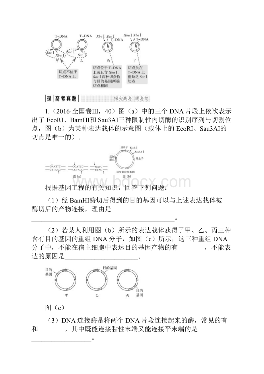 考点加强课5 基因表达载体构建中限制酶的选择原则.docx_第3页